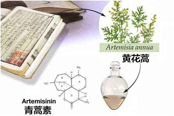 乐鱼注册网(中国区)首页,：向中医药看齐，与世界共享中医药文化(图1)